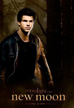 twilight-twilight-series-6771699-300-438.jpg
