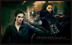 twilight10202.jpg